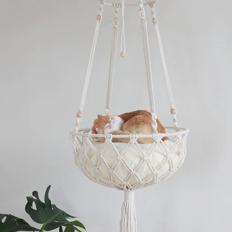 Pet Supplies